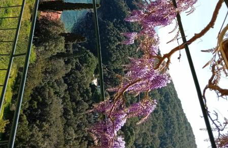 Casa Bella 'Mbriana - Foto 31