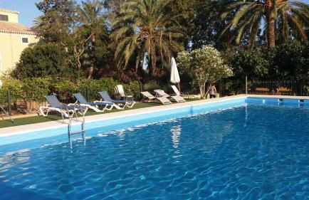 Ala Mexicana - Foto 7