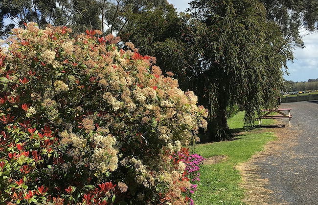 Limestone Coast Tourist Park - Photo 80