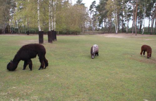 Auszeit am See - 100m zum See - mit Terrasse - Winter-Late-Checkout - Foto 6