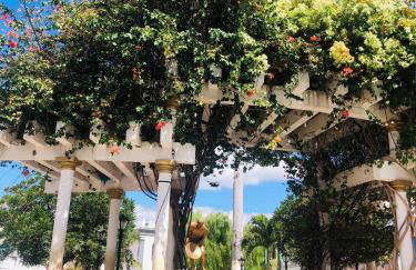 Casa Verde na Chapada Diamantina - Foto 22