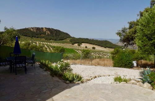 La Casita, Zagra - Foto 22