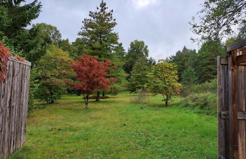 frau Harms Kaffeehaus - Foto 17