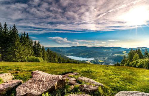 Ferienwohnung am Brunnen - Foto 31