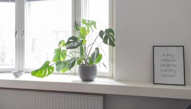 WeHost Malminkatu 38 - Foto 2, Habitación