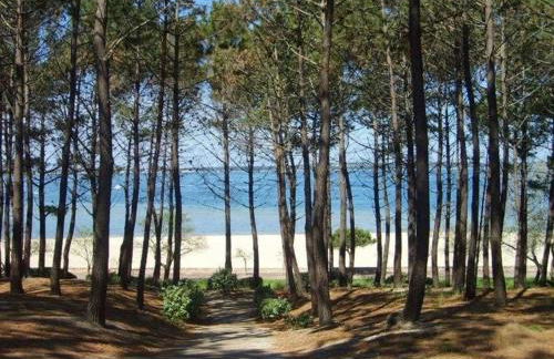 House de la Canopée, Swimming pool, Lake, Forest, large garden and WIFI - Foto 32