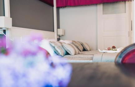 Arca dos Animais - Farming & SPA - Foto 3