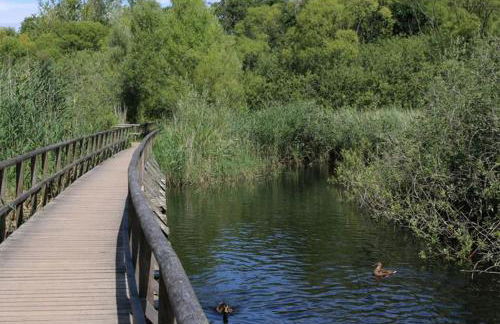 Ferienresidenz "Seelust" - Foto 15