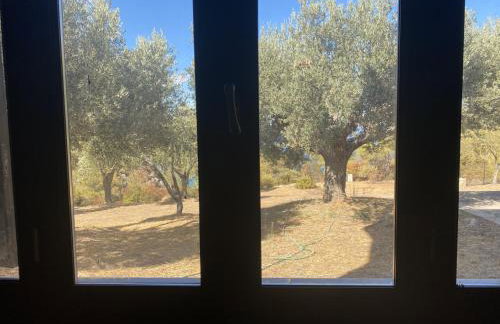 Galini apartment - Foto 16