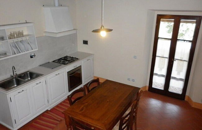 azienda agricola lo zolfino - Foto 29