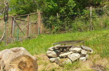 Casa Patty - Liariis of Ovaro CARNIA - Foto 12