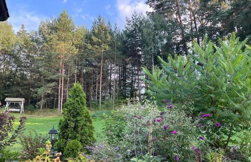 Drewniany Domek w Zakątku Andrzeje Śniczany 18 - Photo 32