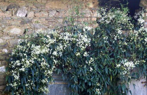 Les moissonneurs - Foto 40