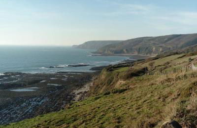 Gite des ajoncs - La Hague - Foto 8