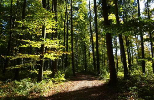 Haus Sengbach im Bergischen Land mit 2 Schlafzimmern - Foto 18