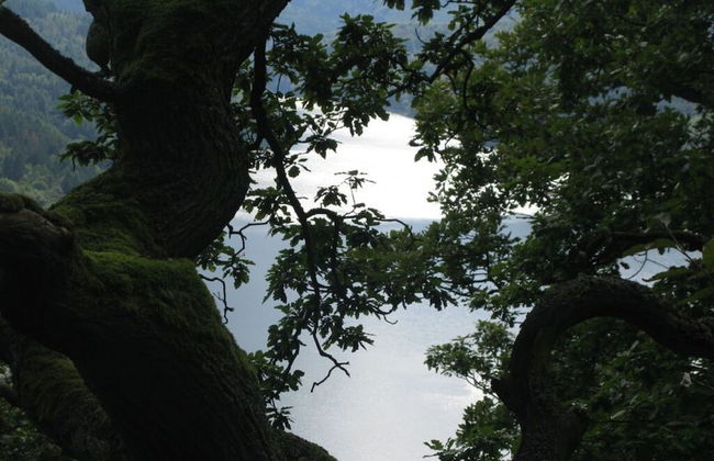 Holiday Apartment Siegmann - Foto 14