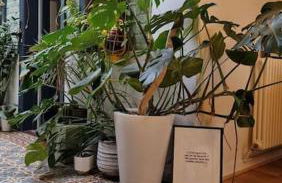 Maison de Caractère 8 pers - Jardin - - Foto 17