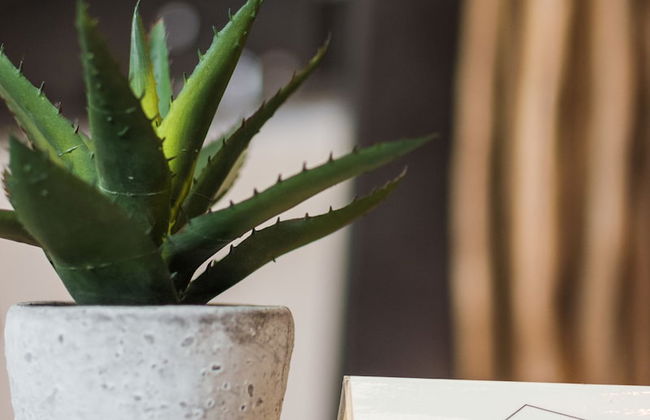 Acropolis Executive Suite - Foto 32