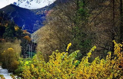 zentral club voltio-jacuzzi - Foto 54