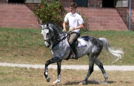 Agriturismo Tenuta Le Sorgive - Foto 63