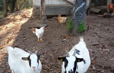 Casa MiraXurés con vistas a la Sierra del Xurés - Foto 46