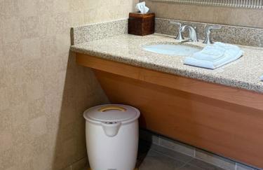 Idyllic Suite - Las Vegas - Foto 20