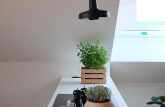 Design Apartments "Hier war Goethe nie" - Foto 55