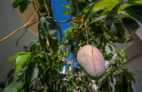 Villa La Laja with 5 bedrooms and sea view - Foto 52