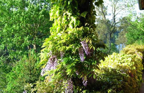 Casa Dos Canais, River Cottage - Foto 20