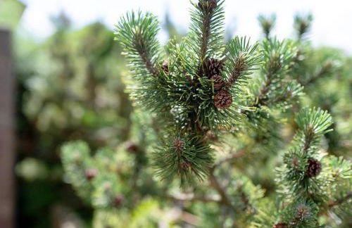 Appartement Arend - Foto 25