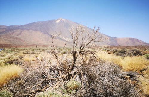 Casita Canaria - Foto 15