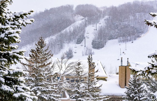 Blue Mountain - Photo 46