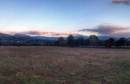 Agriturismo Casa Agricola Rossi Appartamenti in Casentino - Foto 13