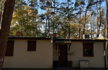 Domek na Morenowym Wzgórzu, nad jeziorem - Foto 1