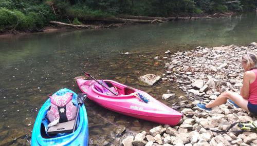 Peaceful Cabin on Rough River - Foto 3