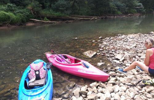 Peaceful Cabin on Rough River - Foto 3