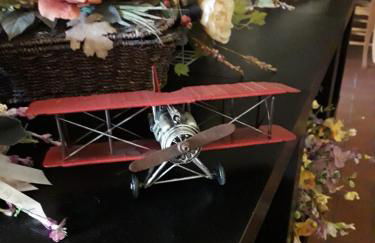 Agriturismo Lupo Cerrino - Foto 6