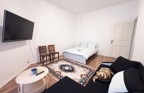 1Room Flat with Kitchen Near Neukölln & Kreuzberg - Photo 4