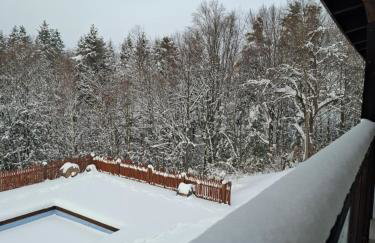 Osada Głębuczek - apartamenty w Beskidach - Foto 49