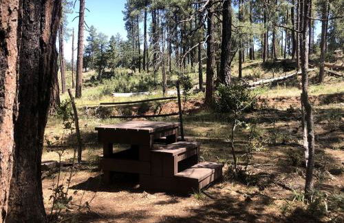 Cabin Getaway near to Pine, Arizona that is Perfect for a Family Vacation - Foto 28