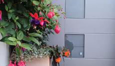 Berlin - Potsdam - Fläming - Foto 2