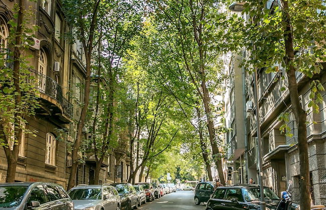 Apartment Dositejeva - Foto 39