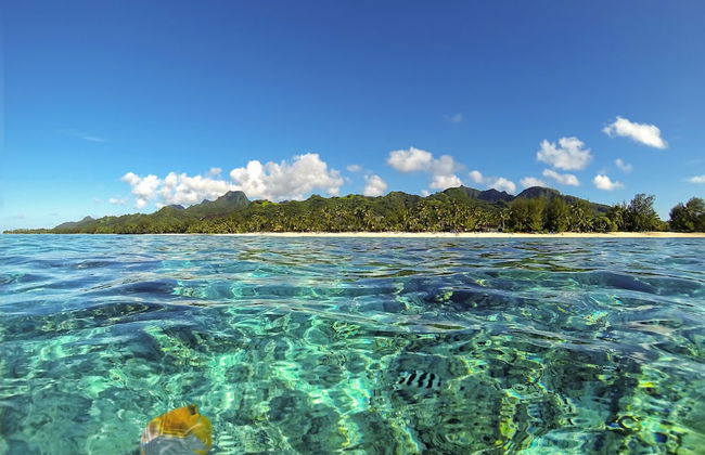 Sea Winds Luxury Villas - Photo 29