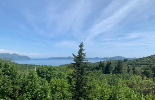 Villa Fragola - Photo 5