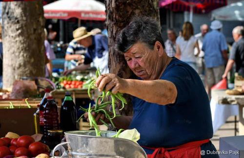 Apartman Iskra 2 - Foto 53