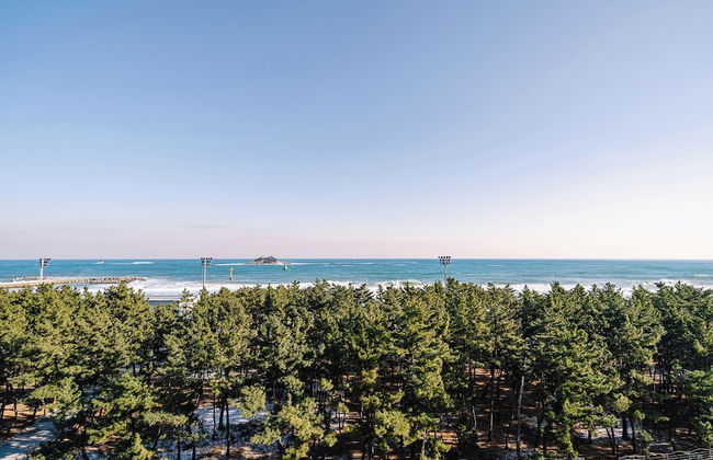 Urbanstay Sokcho Beach AB - Photo 47