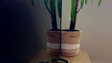 Le soleil levant plage , casino, thalasso - Foto 5