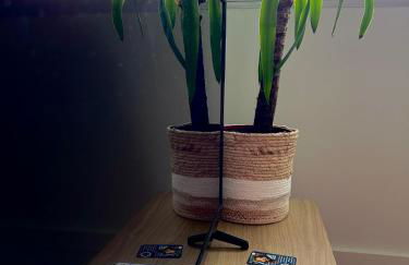 Le soleil levant plage , casino, thalasso - Foto 5