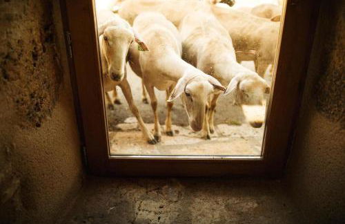 Grande grange atypique proche des Gorges du Tarn - Foto 27