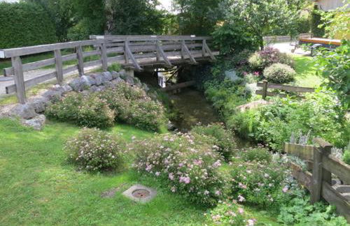 Studio App. 337 mit Blick auf die Berge - Foto 4